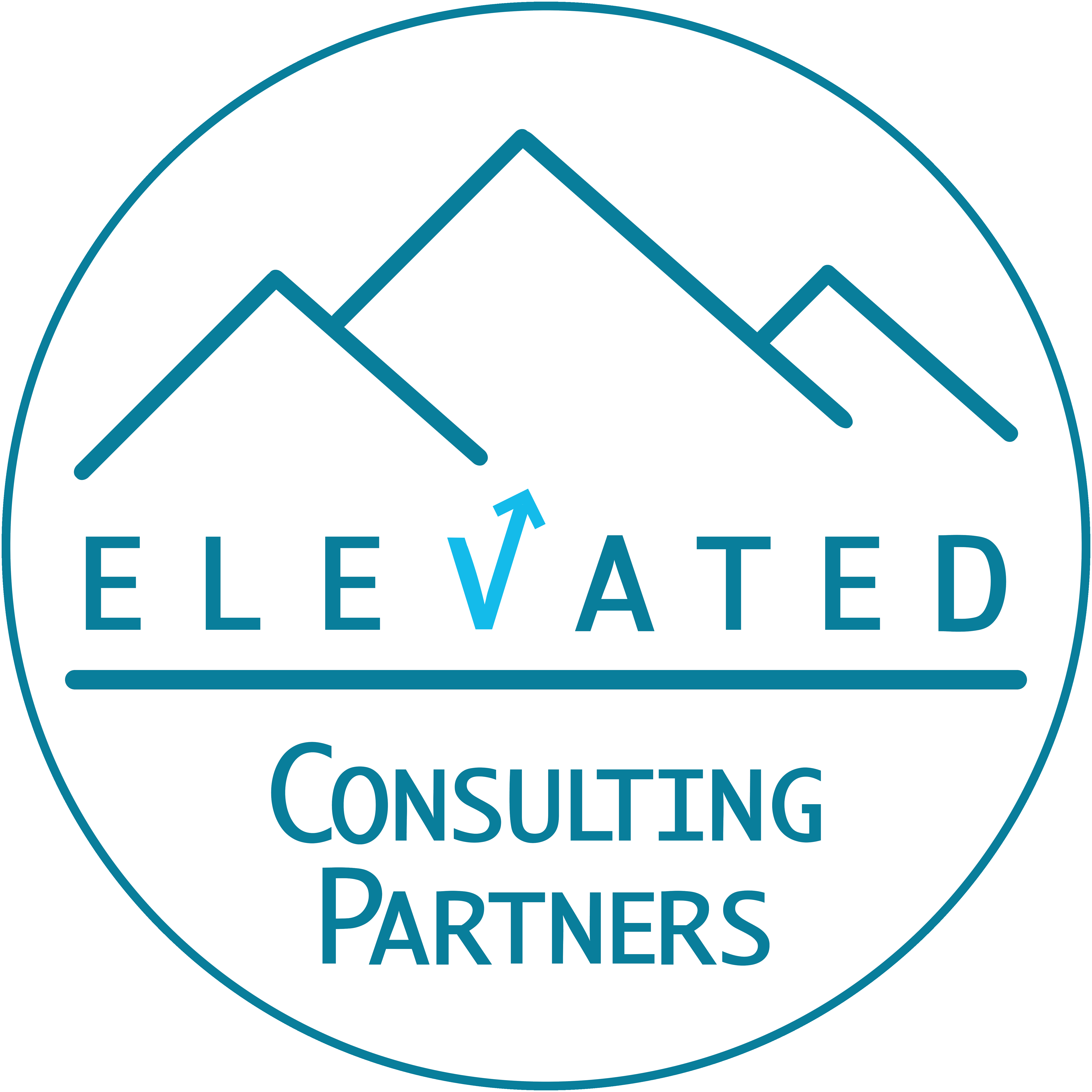 Elevated Consulting Partners